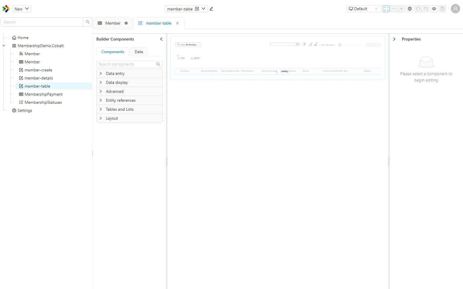 The Work Area with two items open in tabs. The Member tab shows a dot to mark unsaved changes, while the member-table tab has none.